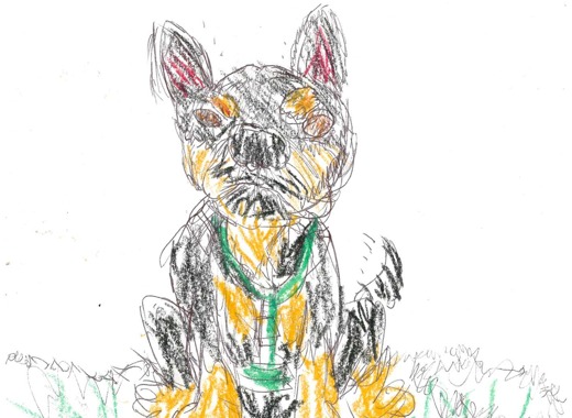 Worldanimalday artclub oct2025 finbar