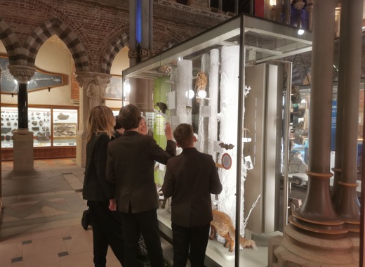 Img 20251118 yr8museumcouncil nhm 2