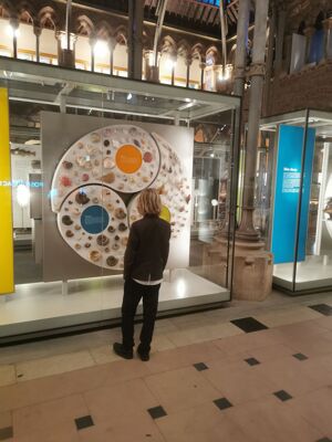 Img 20251118 yr8museumcouncil nhm