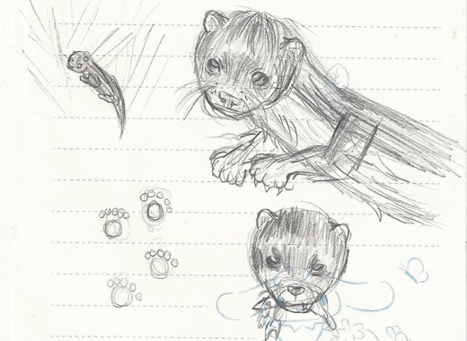 Otter sketches by pupil