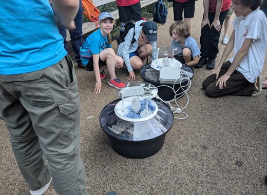 NatureLate 27June2025 NL23 Moth Night 7