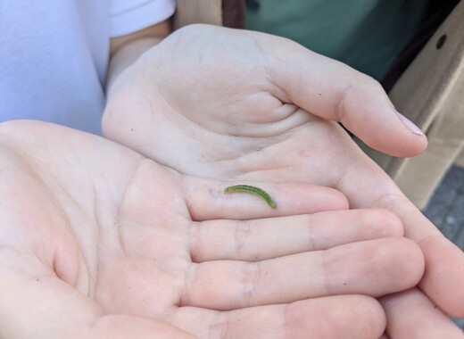 NatureLate 27June2025 NL23 NL7